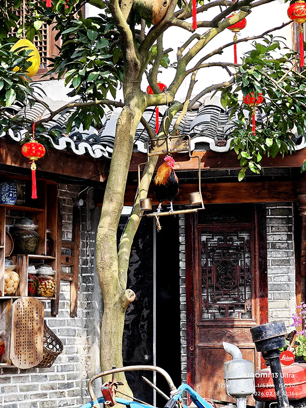 图片[2] - 马年春节游的流水账 - 不曾长大-秦大叔的流水账