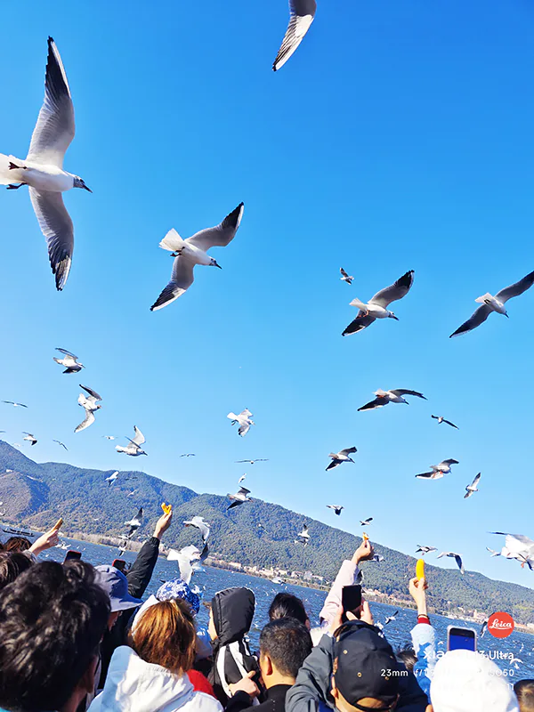 图片[11] - 马年春节游的流水账 - 不曾长大-秦大叔的流水账